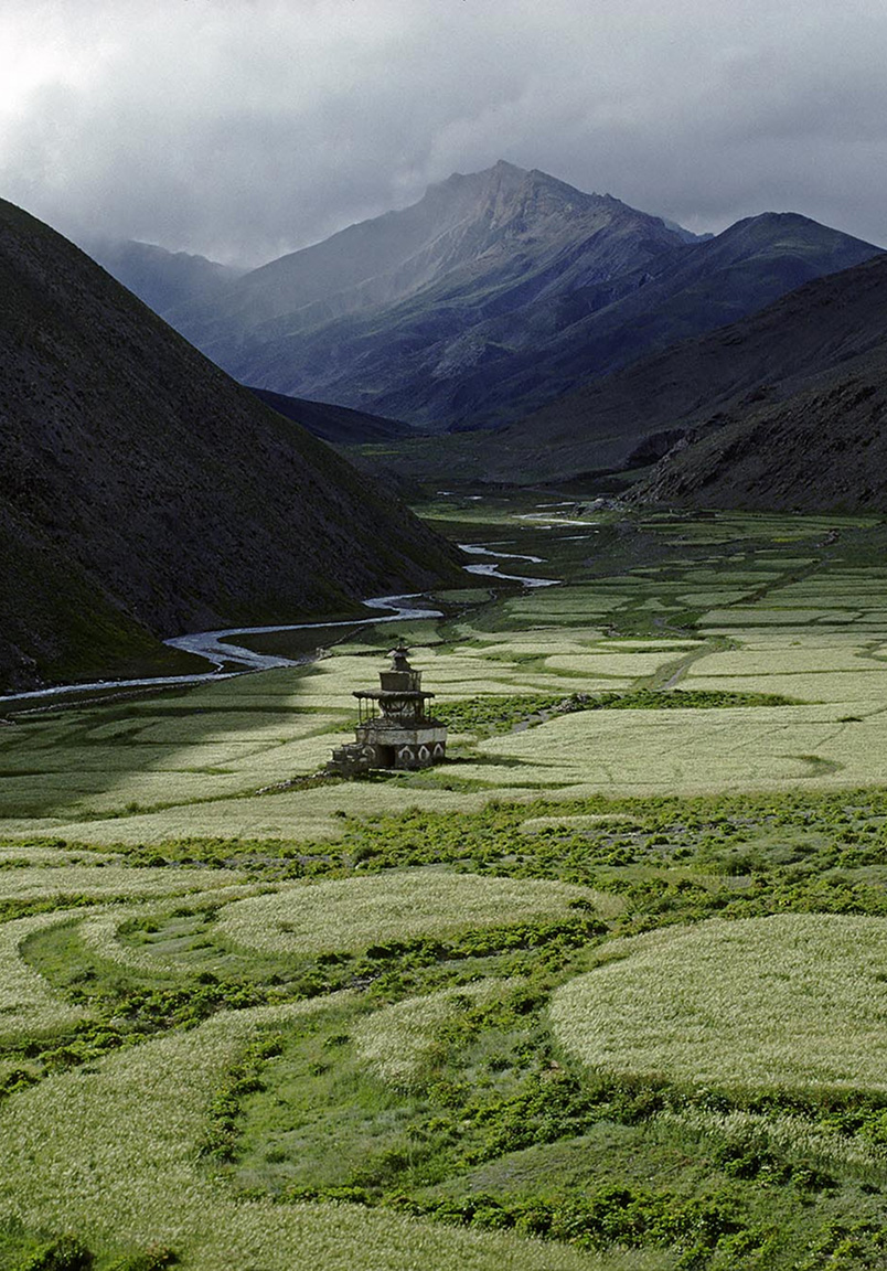green-field
